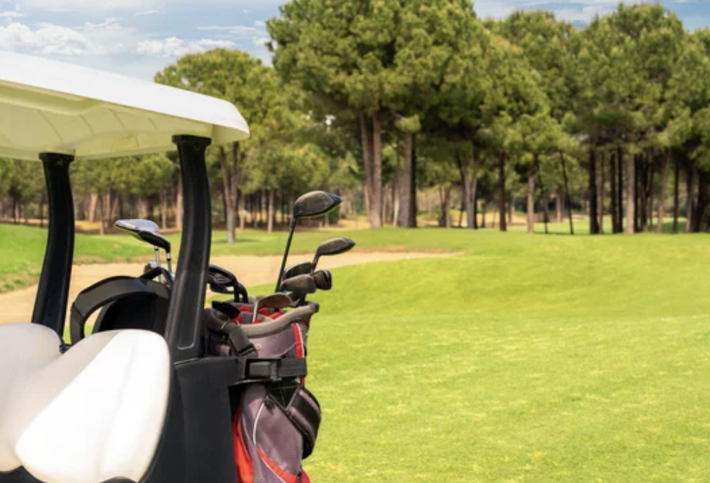 golf cart accessories golf bag
